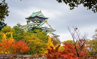 日本探險家之旅 10天