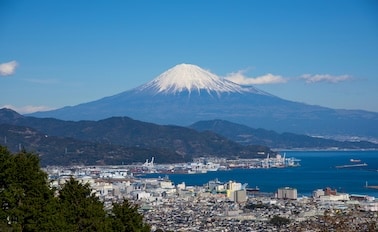 日本探險家之旅春季花朵 12天