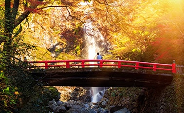 日本探險家之旅&南方島嶼 19天