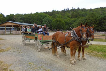 acadia carriage tours
