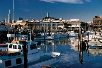 A Lot of Yachts Parking in Harbor at the Fisherman`s Wharf Pier 39